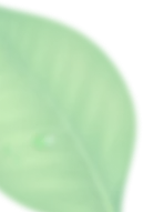 Decorative Shape for Best Spa in vashi Navi Mumbai